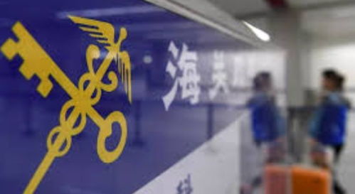 中国,意大利同时严打代购,重则要被判刑 又有华人代购被抓,还说出了年收入 退税