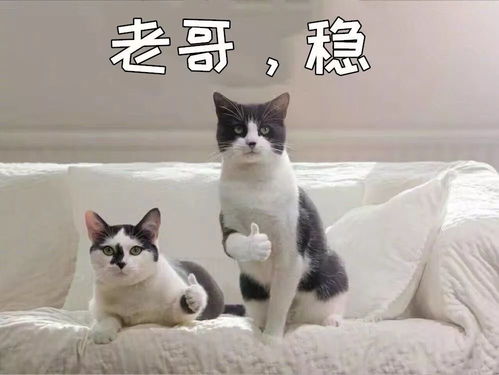 利好 高速省界收费站将取消 部分收费站7折,年末取消双证